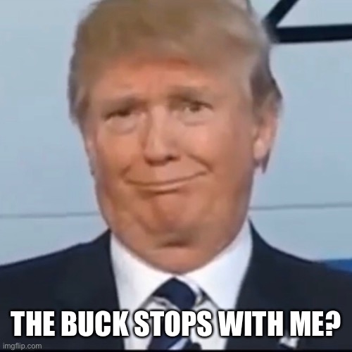 Buck stops with me (?) | THE BUCK STOPS WITH ME? | image tagged in political meme | made w/ Imgflip meme maker