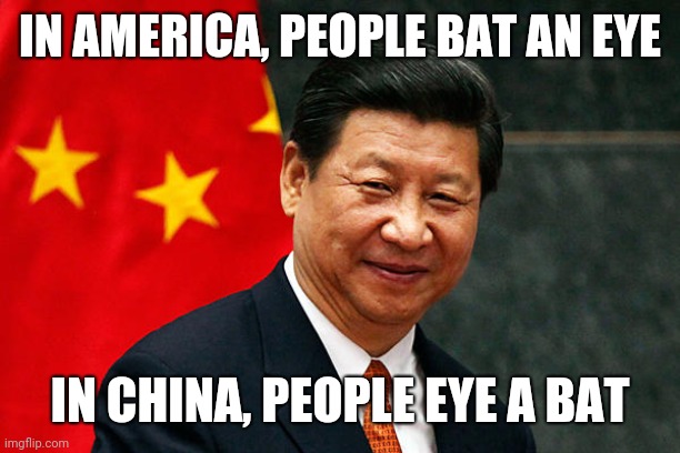 Xi Jinping | IN AMERICA, PEOPLE BAT AN EYE; IN CHINA, PEOPLE EYE A BAT | image tagged in xi jinping | made w/ Imgflip meme maker