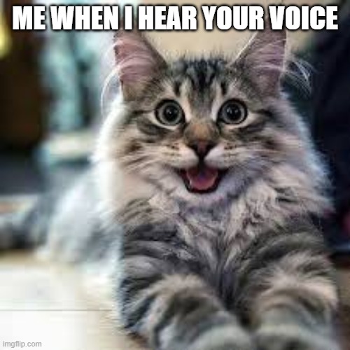 When ya'll finally talk on the phone. | ME WHEN I HEAR YOUR VOICE | image tagged in panther n princess,phone reactions,social distance,happiness is,happy cat | made w/ Imgflip meme maker
