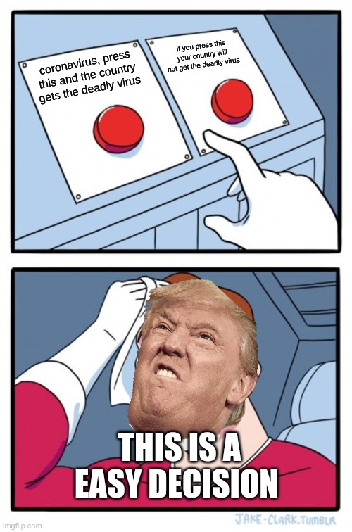 Two Buttons | if you press this your country will not get the deadly virus; coronavirus, press this and the country gets the deadly virus; THIS IS A EASY DECISION | image tagged in memes,two buttons | made w/ Imgflip meme maker
