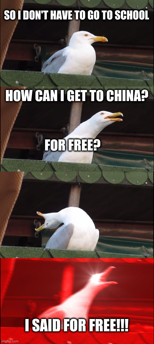 Inhaling Seagull | SO I DON'T HAVE TO GO TO SCHOOL; HOW CAN I GET TO CHINA? FOR FREE? I SAID FOR FREE!!! | image tagged in memes,inhaling seagull | made w/ Imgflip meme maker