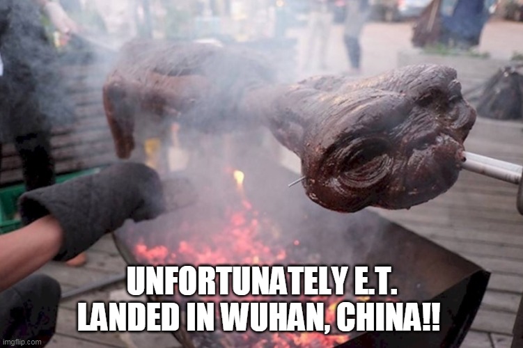Alien bbq | UNFORTUNATELY E.T. LANDED IN WUHAN, CHINA!! | image tagged in alien bbq | made w/ Imgflip meme maker