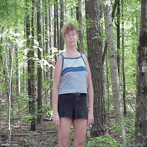 outdoor 1 follow comments | image tagged in gifs,see comments | made w/ Imgflip images-to-gif maker