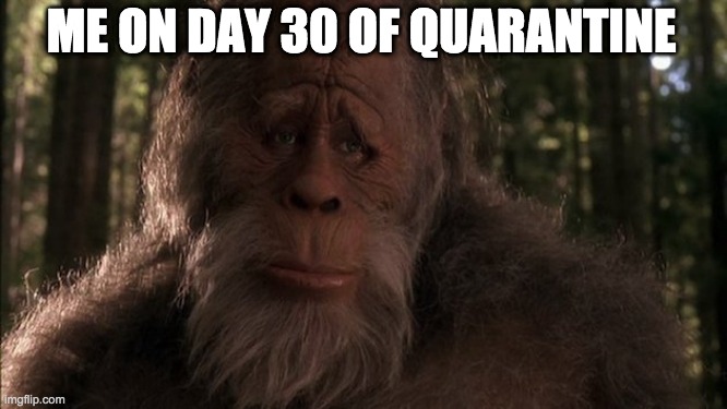Sad Sasquatch | ME ON DAY 30 OF QUARANTINE | image tagged in sad sasquatch | made w/ Imgflip meme maker