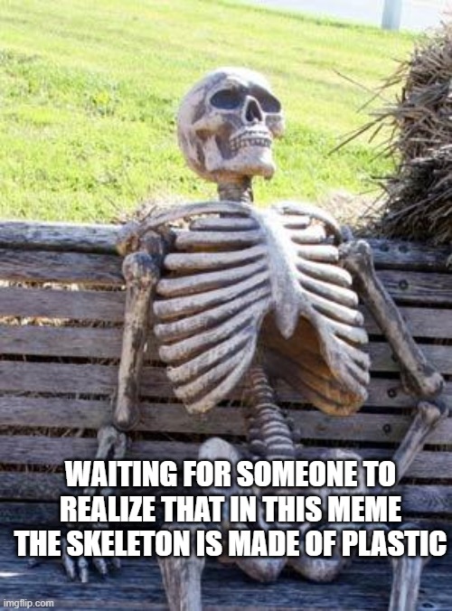 Waiting Skeleton | WAITING FOR SOMEONE TO REALIZE THAT IN THIS MEME THE SKELETON IS MADE OF PLASTIC | image tagged in memes,waiting skeleton | made w/ Imgflip meme maker