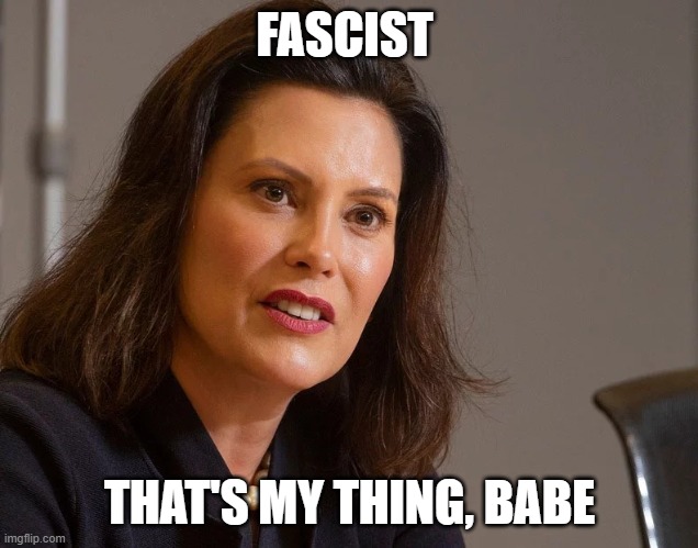 Gretchen Whitmer, governor of Michigan | FASCIST THAT'S MY THING, BABE | image tagged in gretchen whitmer governor of michigan | made w/ Imgflip meme maker