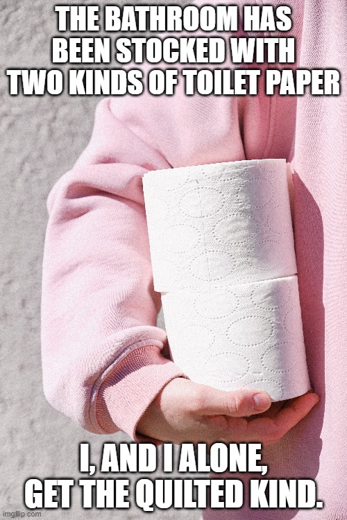 THE BATHROOM HAS BEEN STOCKED WITH TWO KINDS OF TOILET PAPER; I, AND I ALONE, GET THE QUILTED KIND. | image tagged in covid19,toilet paper | made w/ Imgflip meme maker