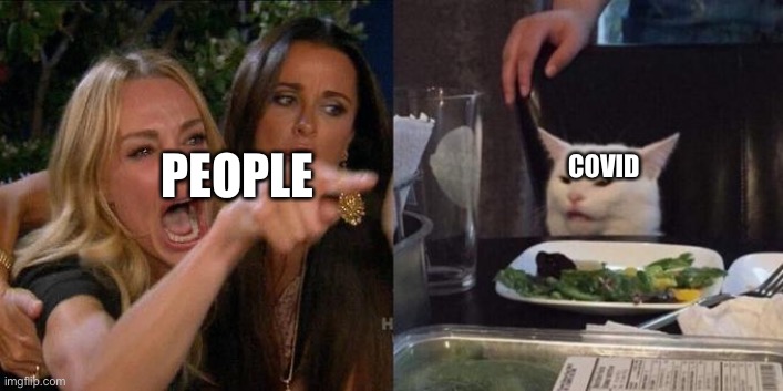 Woman Screaming at Cat | PEOPLE; COVID | image tagged in woman screaming at cat | made w/ Imgflip meme maker