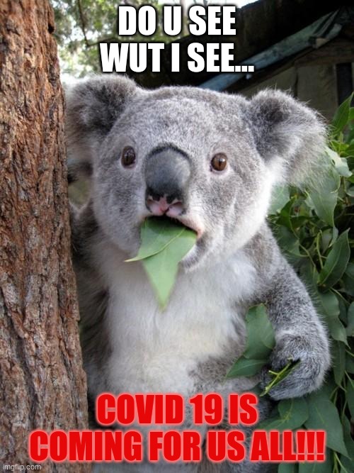 Remember they day you woke up and heard about Coronavirus | DO U SEE WUT I SEE... COVID 19 IS COMING FOR US ALL!!! | image tagged in memes,surprised koala | made w/ Imgflip meme maker