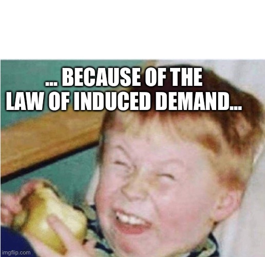 Roasted kid | ... BECAUSE OF THE LAW OF INDUCED DEMAND... | image tagged in roasted kid | made w/ Imgflip meme maker