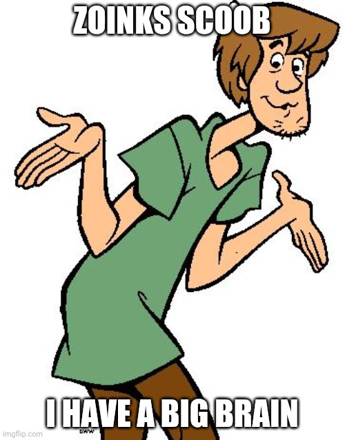 Shaggy from Scooby Doo | ZOINKS SCOOB I HAVE A BIG BRAIN | image tagged in shaggy from scooby doo | made w/ Imgflip meme maker