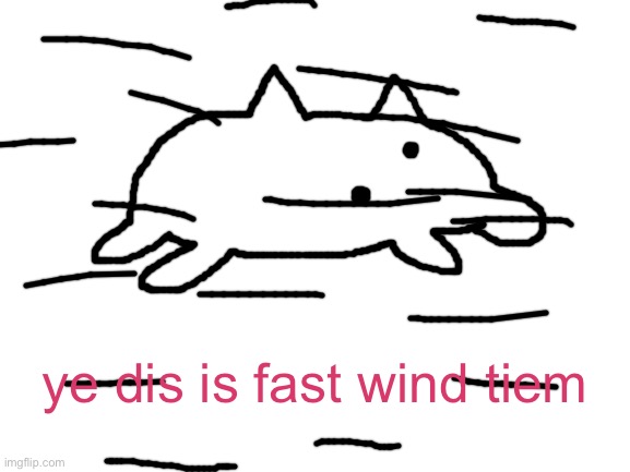 Blank White Template | ye dis is fast wind tiem | image tagged in blank white template | made w/ Imgflip meme maker