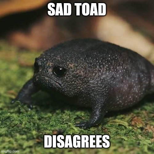 Sad Toad | SAD TOAD; DISAGREES | image tagged in sad toad | made w/ Imgflip meme maker