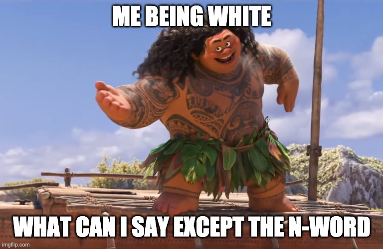 you're welcome without subs | ME BEING WHITE; WHAT CAN I SAY EXCEPT THE N-WORD | image tagged in memes | made w/ Imgflip meme maker