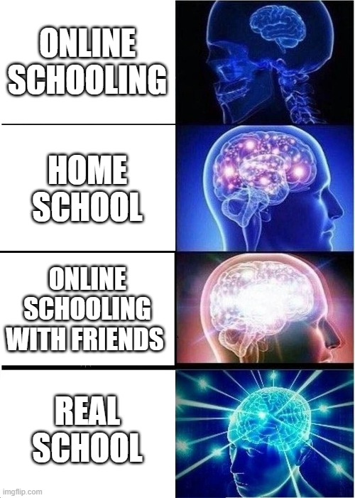 Expanding Brain | ONLINE SCHOOLING; HOME SCHOOL; ONLINE SCHOOLING WITH FRIENDS; REAL SCHOOL | image tagged in memes,expanding brain | made w/ Imgflip meme maker