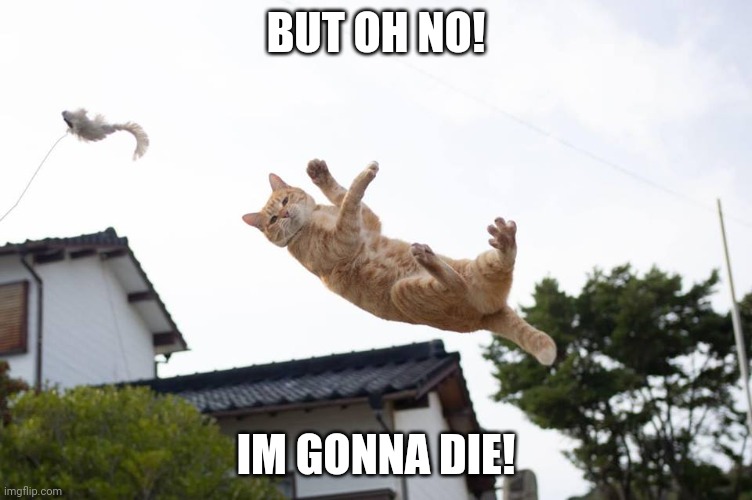 Cat falling | BUT OH NO! IM GONNA DIE! | image tagged in cat falling | made w/ Imgflip meme maker