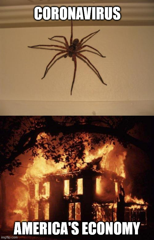 Sometimes the solution is worse than the problem... | CORONAVIRUS; AMERICA'S ECONOMY | image tagged in scumbag spider,house fire,economy,coronavirus,covid-19,self destruction | made w/ Imgflip meme maker