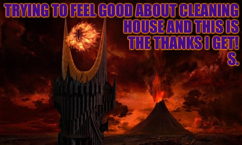 Eye of Sauron | TRYING TO FEEL GOOD ABOUT CLEANING
HOUSE AND THIS IS
THE THANKS I GET!
            S. | image tagged in eye of sauron | made w/ Imgflip meme maker