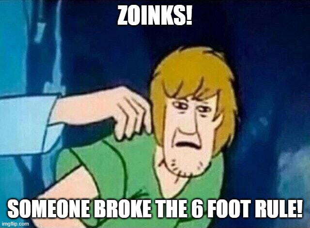Zoinks! | ZOINKS! SOMEONE BROKE THE 6 FOOT RULE! | image tagged in scooby doo shaggy,2020,corona virus,new rules | made w/ Imgflip meme maker