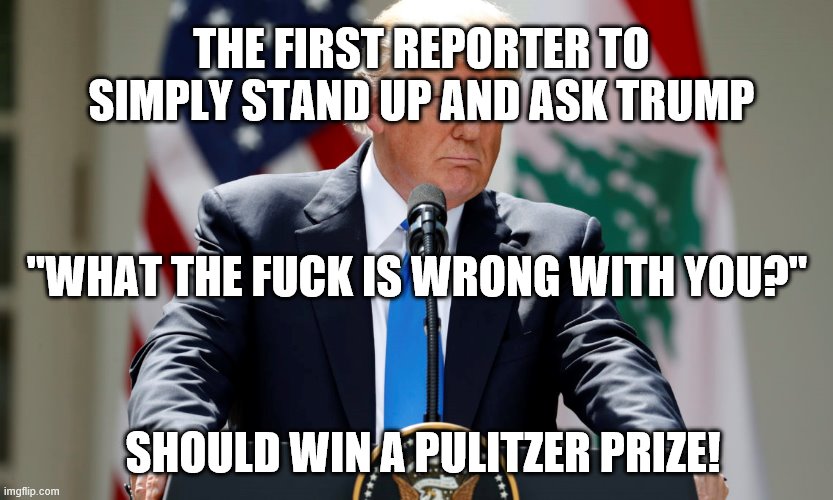 THE FIRST REPORTER TO SIMPLY STAND UP AND ASK TRUMP; "WHAT THE FUCK IS WRONG WITH YOU?"; SHOULD WIN A PULITZER PRIZE! | made w/ Imgflip meme maker