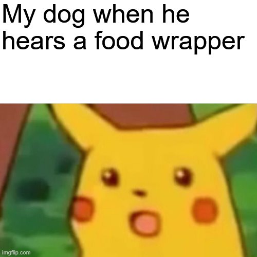 Surprised Pikachu | My dog when he hears a food wrapper | image tagged in memes,surprised pikachu | made w/ Imgflip meme maker