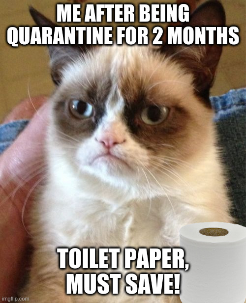 Grumpy Cat | ME AFTER BEING QUARANTINE FOR 2 MONTHS; TOILET PAPER, MUST SAVE! | image tagged in memes,grumpy cat | made w/ Imgflip meme maker
