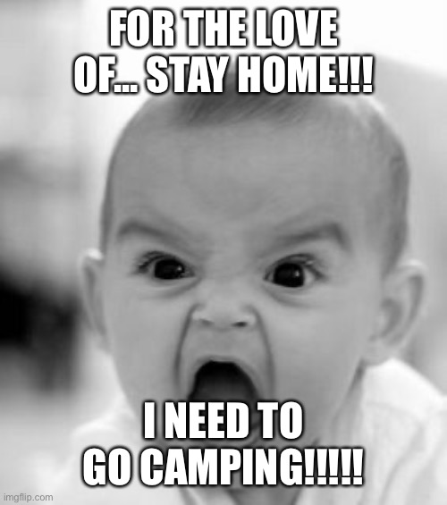 Angry Baby Meme | FOR THE LOVE OF... STAY HOME!!! I NEED TO GO CAMPING!!!!! | image tagged in memes,angry baby | made w/ Imgflip meme maker