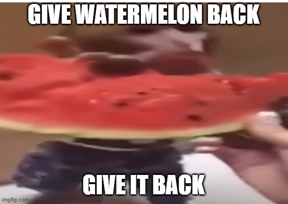 give melon bac | GIVE WATERMELON BACK; GIVE IT BACK | image tagged in monkey,watermelon,stealing,robbery | made w/ Imgflip meme maker