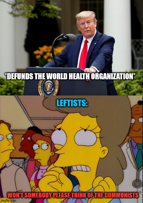 *DEFUNDS THE WORLD HEALTH ORGANIZATION*; LEFTISTS:; WON'T SOMEBODY PLEASE THINK OF THE COMMUNISTS | image tagged in won't somebody think of the children,trump,leftists,communists,covid-19,coronavirus | made w/ Imgflip meme maker