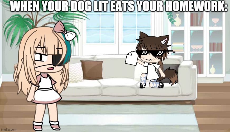 WHEN YOUR DOG LIT EATS YOUR HOMEWORK: | image tagged in gacha,dog | made w/ Imgflip meme maker