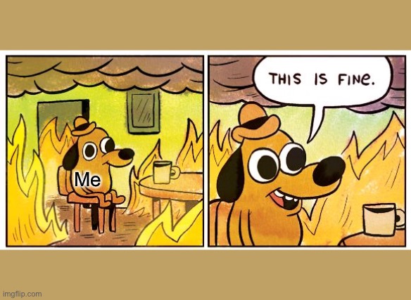 This Is Fine Meme | Me | image tagged in memes,this is fine | made w/ Imgflip meme maker