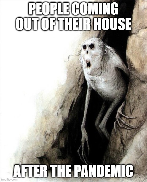 cave meme | PEOPLE COMING OUT OF THEIR HOUSE; AFTER THE PANDEMIC | image tagged in cave meme | made w/ Imgflip meme maker