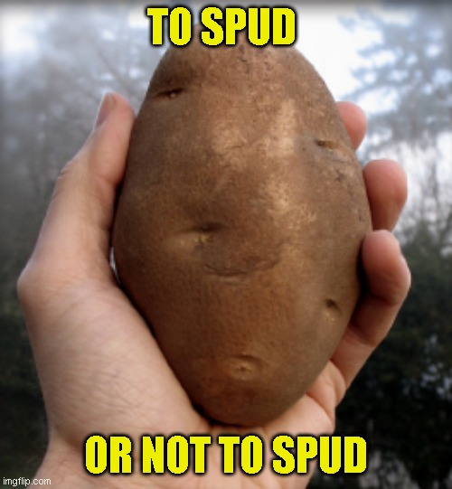 Just a shout out to Thparky and Craven | TO SPUD; OR NOT TO SPUD | image tagged in been a while guys | made w/ Imgflip meme maker