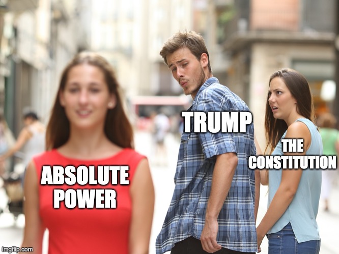 TRUMP; THE
CONSTITUTION; ABSOLUTE
POWER | image tagged in donald trump,absolute power,constitution | made w/ Imgflip meme maker
