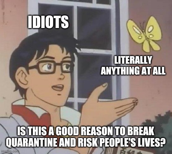 Is This A Pigeon Meme | IDIOTS; LITERALLY ANYTHING AT ALL; IS THIS A GOOD REASON TO BREAK QUARANTINE AND RISK PEOPLE'S LIVES? | image tagged in memes,is this a pigeon | made w/ Imgflip meme maker