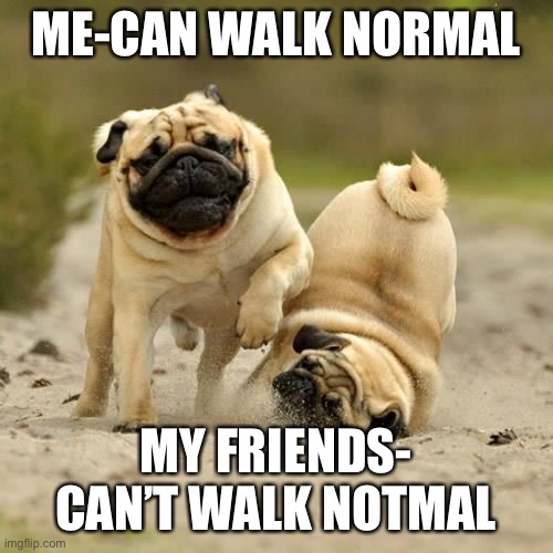 RUN! pugs | ME-CAN WALK NORMAL; MY FRIENDS- CAN’T WALK NOTMAL | image tagged in run pugs | made w/ Imgflip meme maker