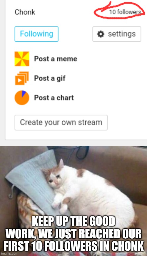 Chonkers, It's Time To Celebrate | KEEP UP THE GOOD WORK, WE JUST REACHED OUR FIRST 10 FOLLOWERS IN CHONK | image tagged in sad fat cat | made w/ Imgflip meme maker