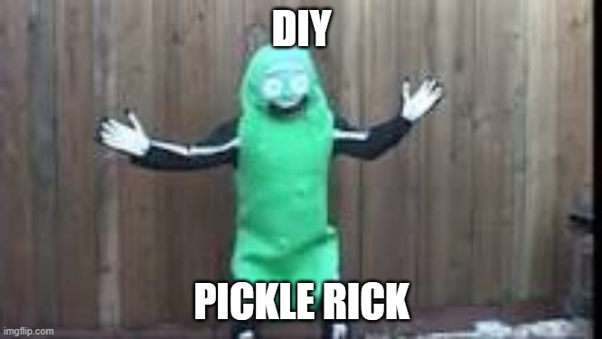 DIY; PICKLE RICK | made w/ Imgflip meme maker