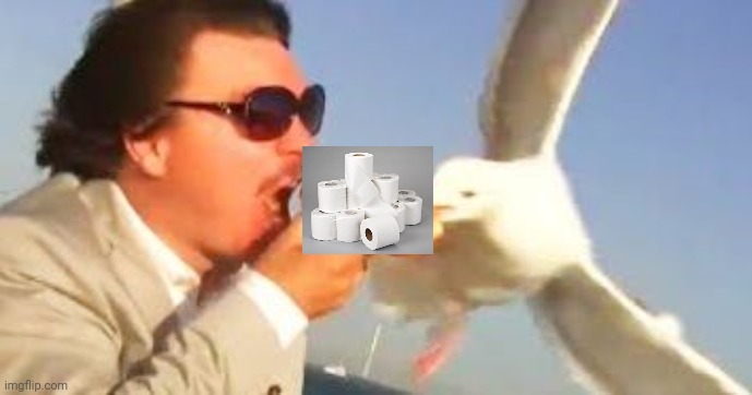 swiping seagull | image tagged in swiping seagull | made w/ Imgflip meme maker