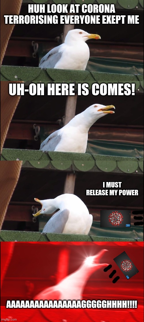Inhaling Seagull | HUH LOOK AT CORONA TERRORISING EVERYONE EXEPT ME; UH-OH HERE IS COMES! I MUST RELEASE MY POWER; AAAAAAAAAAAAAAAAGGGGGHHHH!!!! | image tagged in memes,inhaling seagull | made w/ Imgflip meme maker