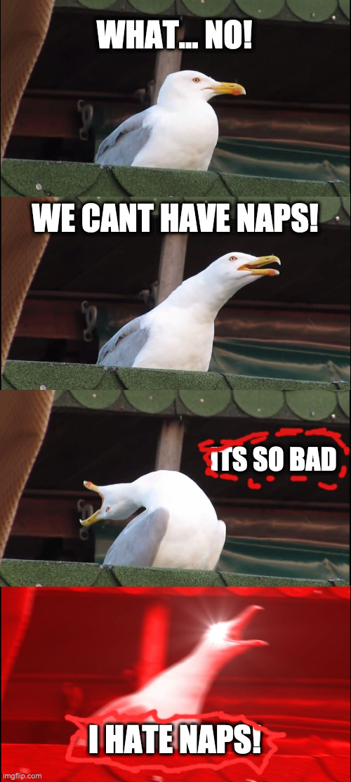WHAT... NO! WE CANT HAVE NAPS! ITS SO BAD I HATE NAPS! | image tagged in memes,inhaling seagull | made w/ Imgflip meme maker
