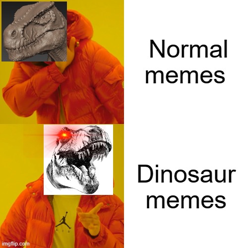 Drake Hotline Bling Meme | Normal memes; Dinosaur memes | image tagged in memes,drake hotline bling | made w/ Imgflip meme maker