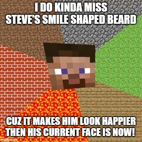Minecraft Steve | I DO KINDA MISS STEVE'S SMILE SHAPED BEARD; CUZ IT MAKES HIM LOOK HAPPIER THEN HIS CURRENT FACE IS NOW! | image tagged in minecraft steve | made w/ Imgflip meme maker