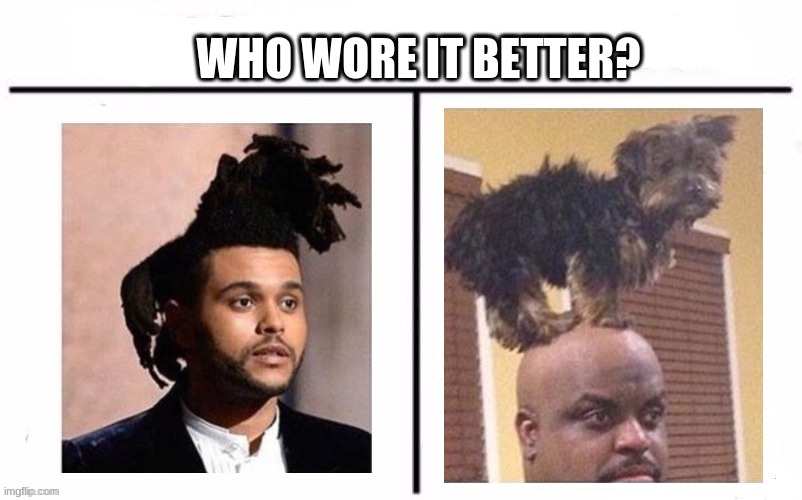 WHO WORE IT BETTER? | image tagged in the weeknd,hahaha,memes,dog memes | made w/ Imgflip meme maker