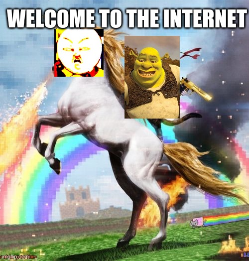 Welcome To The Internets | WELCOME TO THE INTERNET | image tagged in memes,welcome to the internets | made w/ Imgflip meme maker