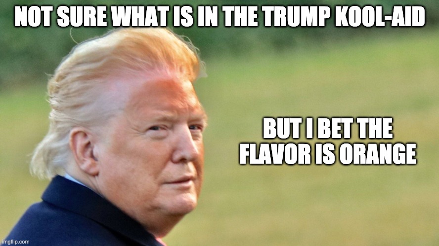 Kool-Aid | NOT SURE WHAT IS IN THE TRUMP KOOL-AID; BUT I BET THE FLAVOR IS ORANGE | image tagged in orange | made w/ Imgflip meme maker