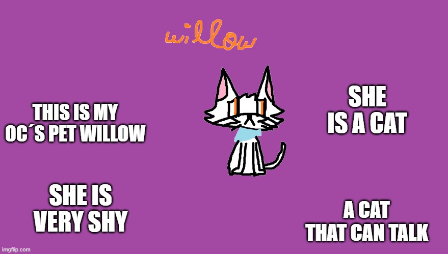 SHE IS A CAT; THIS IS MY OC´S PET WILLOW; SHE IS VERY SHY; A CAT THAT CAN TALK | made w/ Imgflip meme maker