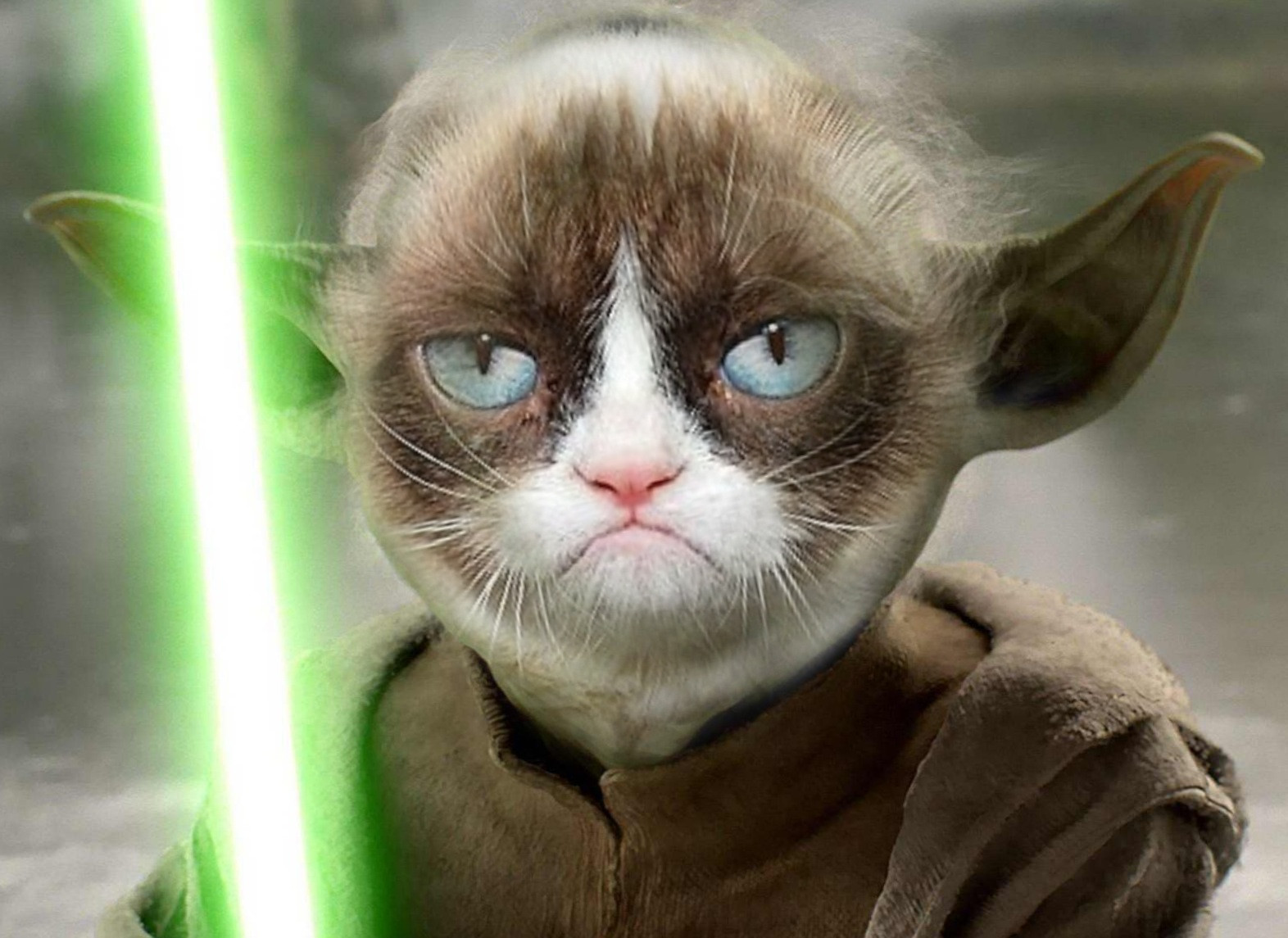 Grumpy Cat Yoda Blank Meme Template