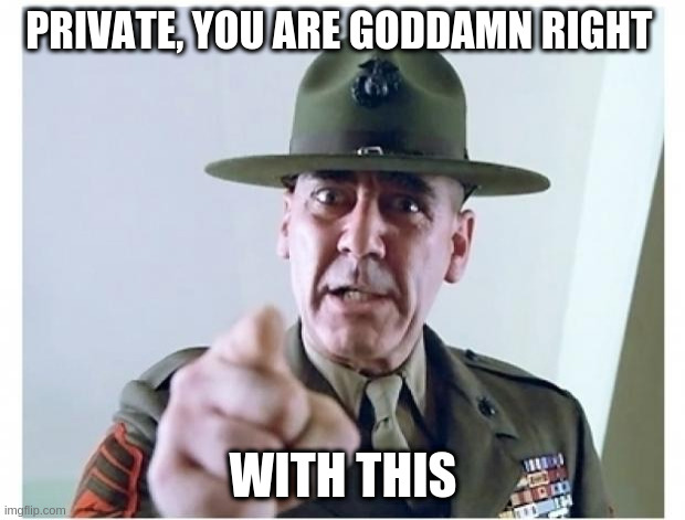 Full metal jacket | PRIVATE, YOU ARE GO***MN RIGHT WITH THIS | image tagged in full metal jacket | made w/ Imgflip meme maker