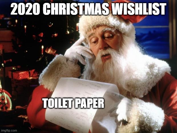 dear santa | 2020 CHRISTMAS WISHLIST; TOILET PAPER | image tagged in dear santa | made w/ Imgflip meme maker